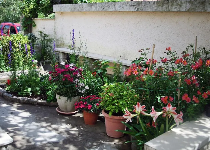 Daire Casa Tomadero Bol