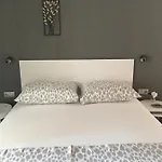 Casa Tomadero 볼