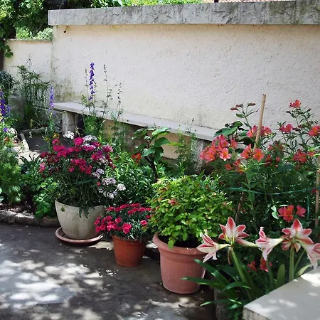 Апартаменты Casa Tomadero Бол
